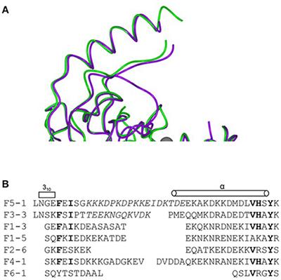 The Impact of Nucleotide Sequence Analysis on Meningococcal Vaccine Development and Assessment